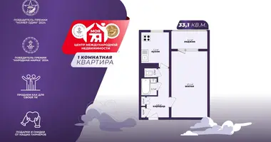 1 room apartment in Minsk, Belarus