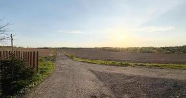 Dom w Lasanski selski Savet, Białoruś