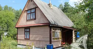 House in Masievicy, Belarus