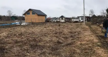 House in Pudost, Russia