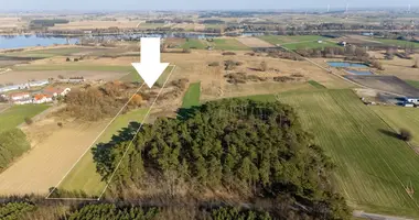 Plot of land in Luszczewo, Poland