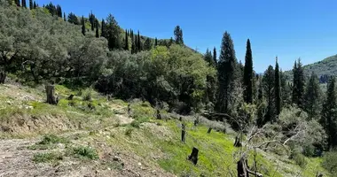 Terrain dans Dafnata, Grèce