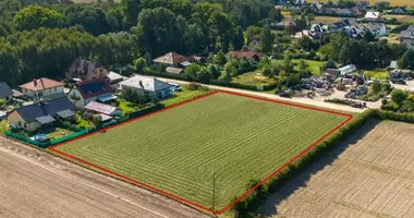 Plot of land in Paczkowo, Poland