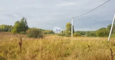 Plot of land in Dobroe, Russia