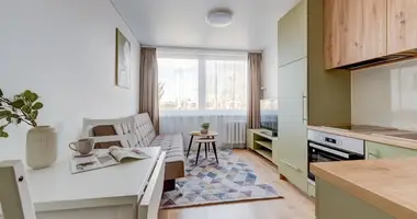 Appartement 1 chambre dans Vilnius, Lituanie