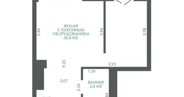 Wohnung 2 zimmer in Minsk, Weißrussland