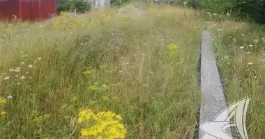 Plot of land in Zabinkauski sielski Saviet, Belarus