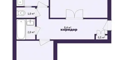 2 room apartment in Minsk, Belarus