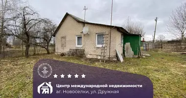 House in Losnicki sielski Saviet, Belarus