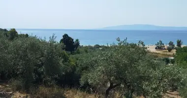 Terrain dans Pyrgadikia, Grèce