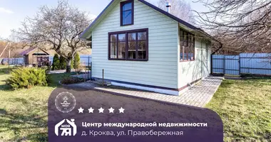 Дом в Швабский сельский Совет, Беларусь