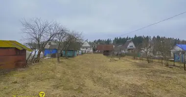 Grundstück in Kalodziscanski sielski Saviet, Weißrussland