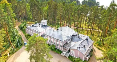 Hôtel 1 136 m² dans Savonlinna, Finlande