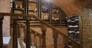 Commercial property 320 m² in Tbilisi, Georgia