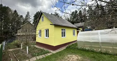 House in Ratomka, Belarus