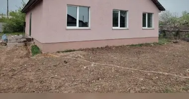 Haus in Retschyza, Belarus