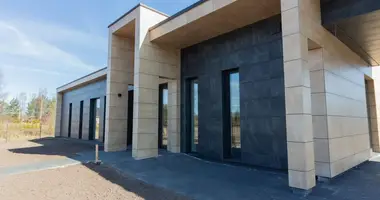 3 bedroom house in Dzilnuciems, Latvia