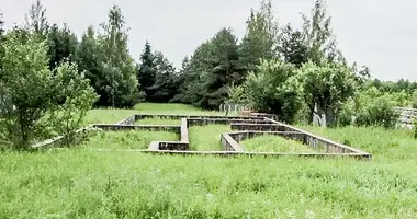 Дом в Новопольский сельский Совет, Беларусь