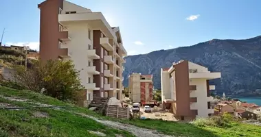 Mieszkanie 1 pokój w Dobrota, Czarnogóra