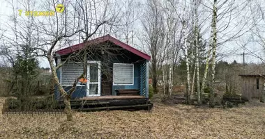 Дом в Раковский сельский Совет, Беларусь