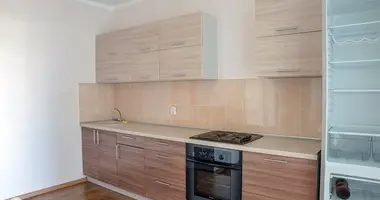 Wohnung 2 zimmer in Minsk, Belarus