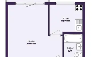 1 room apartment in Minsk, Belarus