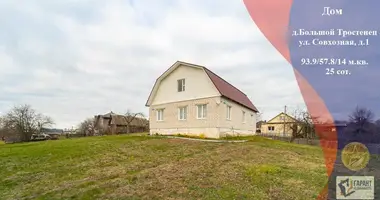 House in Vialiki Trascianiec, Belarus