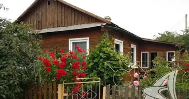 House in Rakitnicki sielski Saviet, Belarus