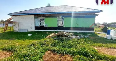 Дом в Жодино, Беларусь