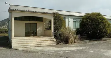 Propriété commerciale 1 000 m² dans Evrypedo, Grèce