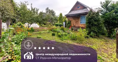 Дом в Лошанский сельский Совет, Беларусь