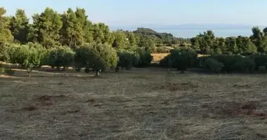 Terrain dans Agia Paraskevi, Grèce