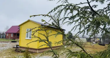 Haus in Uzdzienski siel ski Saviet, Weißrussland