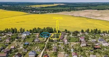 Участок земли в Демидовичский сельский Совет, Беларусь
