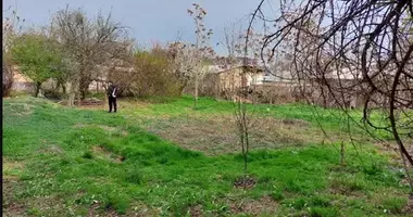Участок земли в Узбекистан