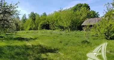 House in Vialikija Matykaly, Belarus