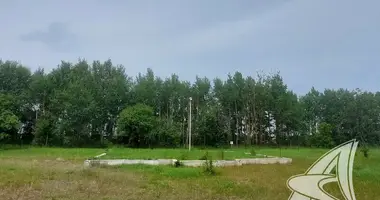 Plot of land in Malyja Radvanicy, Belarus