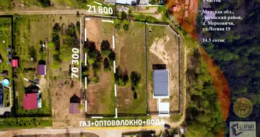 Plot of land in Bialarucki sielski Saviet, Belarus
