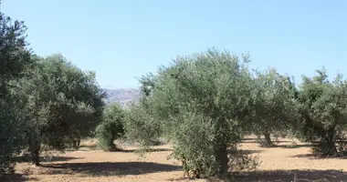 Plot of land in Chania Municipality, Greece