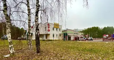Gewerbefläche 63 m² in Minsk, Weißrussland