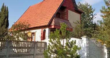 Haus in Ciareskavicki sielski Saviet, Weißrussland