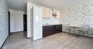 1 bedroom apartment in Minsk, Belarus