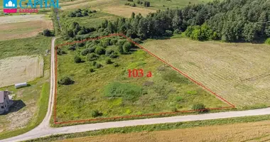 Plot of land in Roda, Lithuania