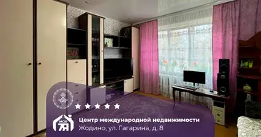 Appartement 1 chambre dans Jodzina, Biélorussie