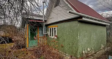 House in Babovicki sielski Saviet, Belarus