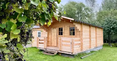 House in Borovlyany, Belarus