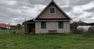 House in Menkovo, Russia