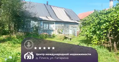 Haus in Plisa, Belarus