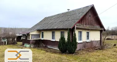 House in Kapylski sielski Saviet, Belarus