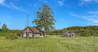 House in Stasiunai, Lithuania